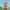 Browser funko pop, mario bross