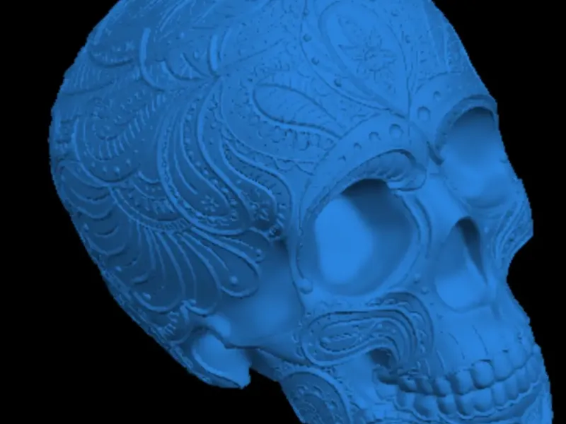 Paisley skull