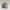 Sproutback Hedge Planter – Noah0x03