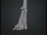 Tree 02-2