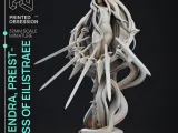 Nendra - Priestess of Eilistraee - PRESUPPORTED --2