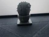 Sweet cactus 🌵-2