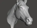 HORSE WALL MOUNT-5