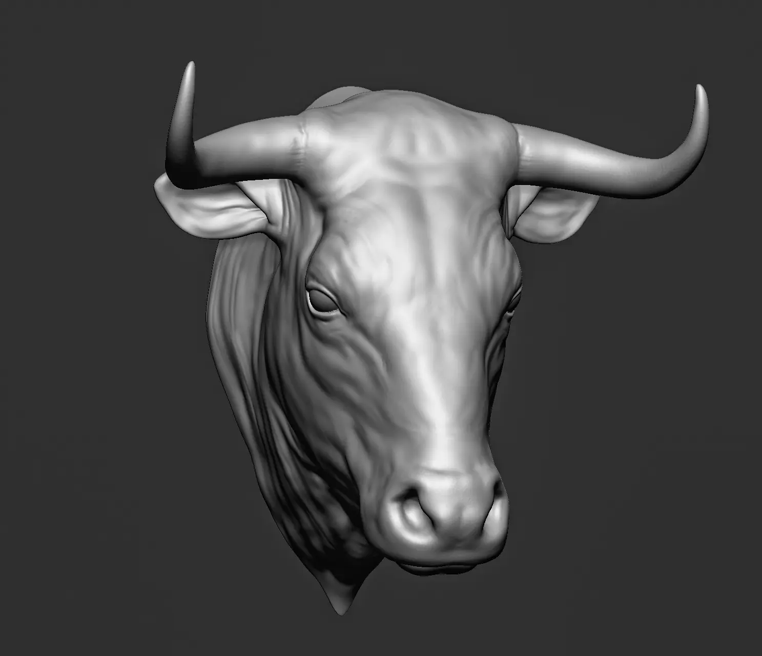 Bull head