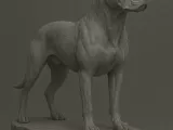 American Pitbull-0