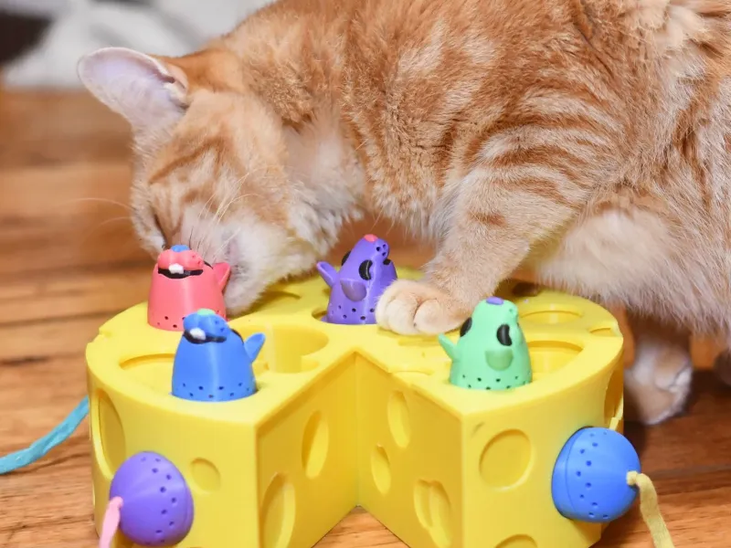 Cheesy Mouse Treat Puzzle Cat Toy