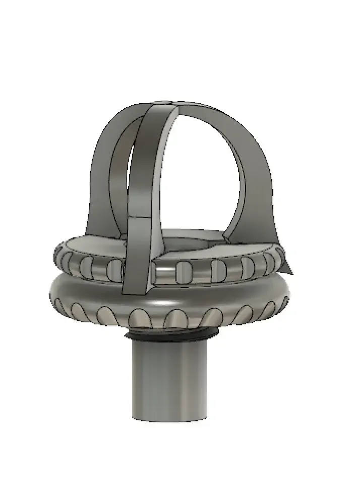plug coraux  grosse bouture
