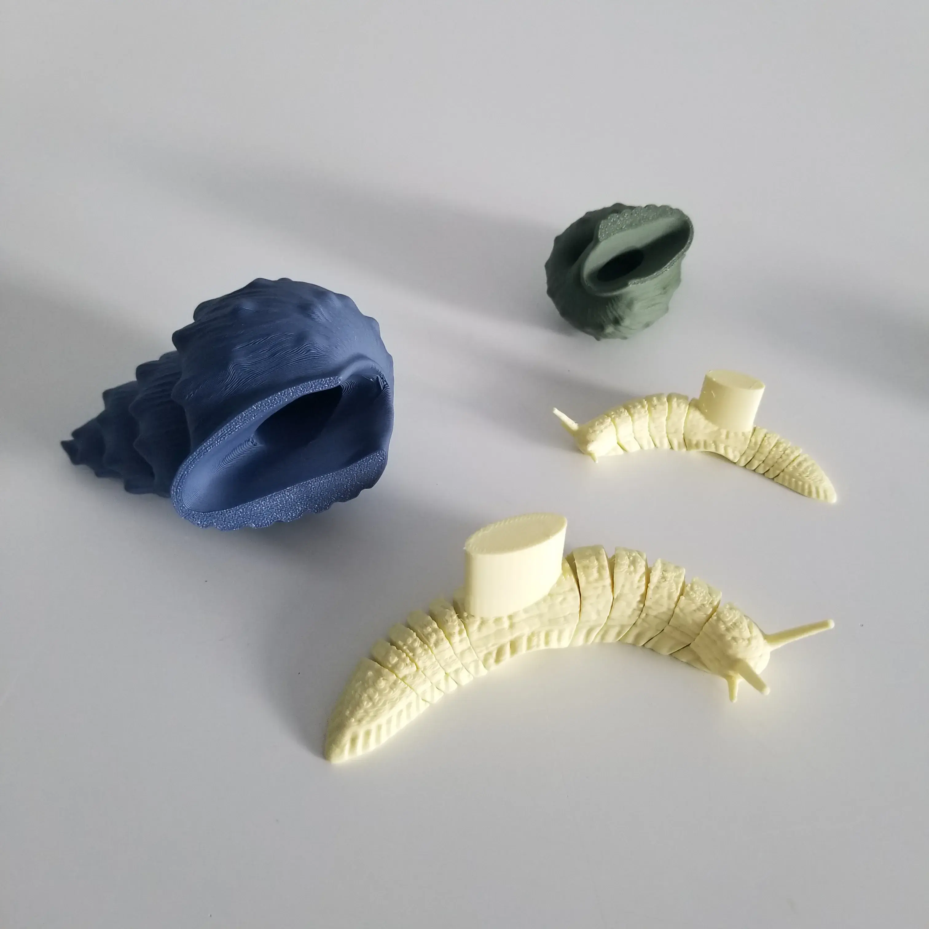 Block Snail Model Other STL Download - Snail Flexi (Magnetic)by Boby_Green
