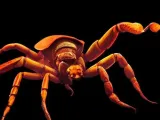 Aranha-0