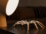 Cyber Tarantula-2