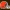 Logo Cleveland Browns | Modelo 3D para Impresión en 3D