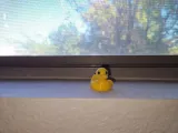 Mini Ducky Flexi-1