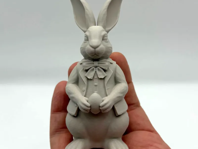Dressed Easter Bunny