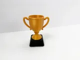 Customizable Trophy-3