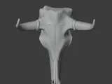 Bull Skull-1