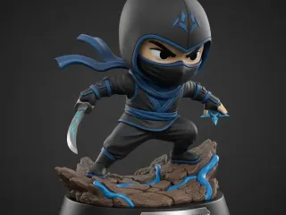 Shadow Ninja