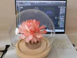 Fiore eterno-4