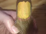 Bigfoot Toe -0