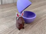 Capybara Easter-2