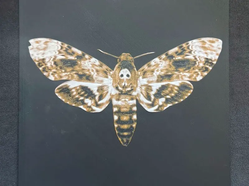 Death's-head hawkmoth