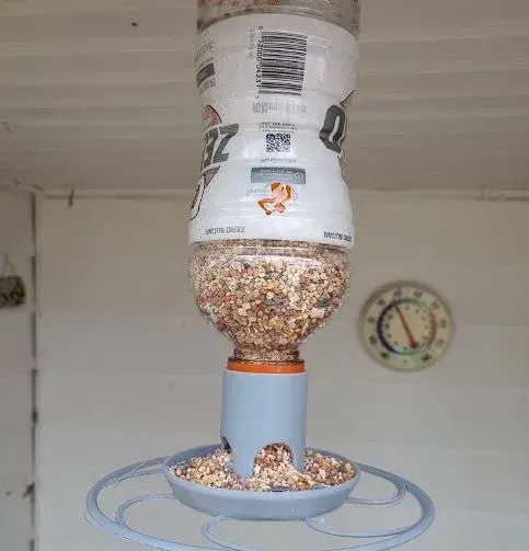 Gatorade bottle bird feeder
