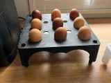 Egg carton-1