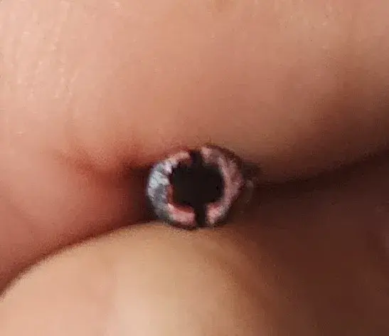 Lightsaber replacement for Revan Star Wars: The Old Republic