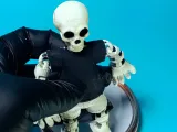 calaberita-3