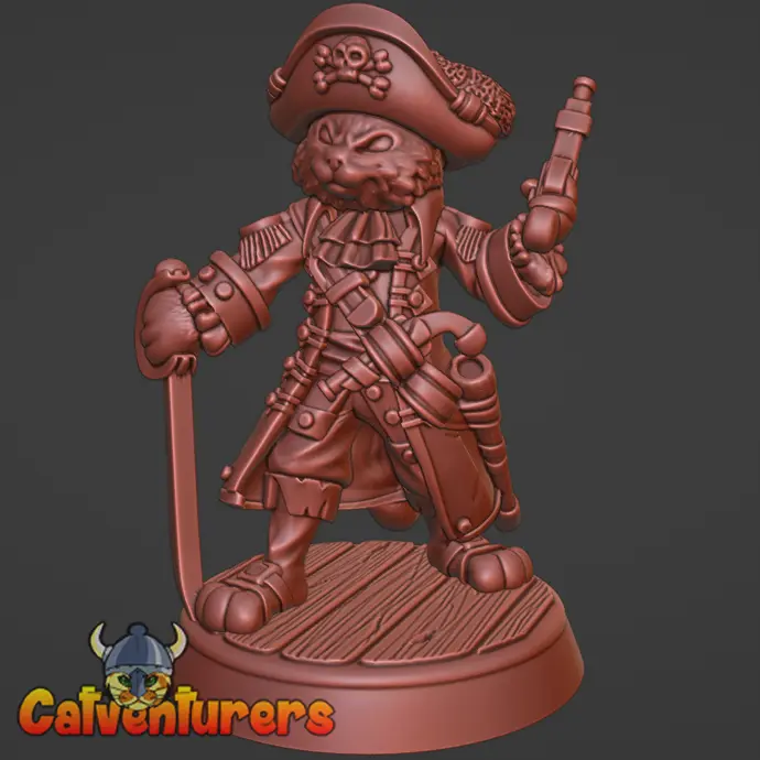 Pirate Captain Cat
