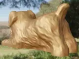 Dog lazy-2
