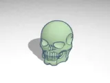 Skeleton skull-0