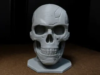 Cyborg Skull