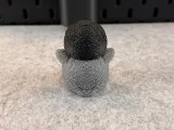 Tenero pinguino-7