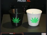 Weed plant-1