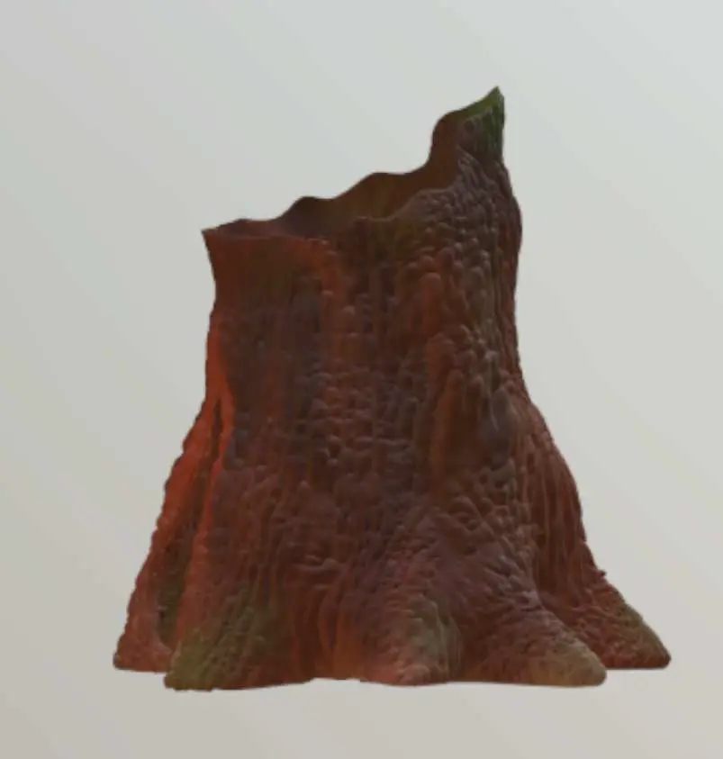 Tree Stump