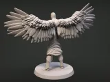angel P-1