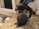 alexa dragón -0
