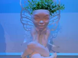 FAIRY VASE / FLOWER POT-0
