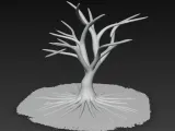Weide Baum tot-1
