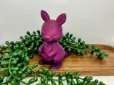 kangaroo-1