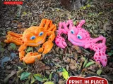 PRINT-IN-PLACE FLEXI CRAB ARTICULATED-3