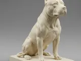 Pitbull sentado-0
