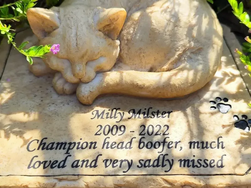 lápida conmemorativa para gatos 