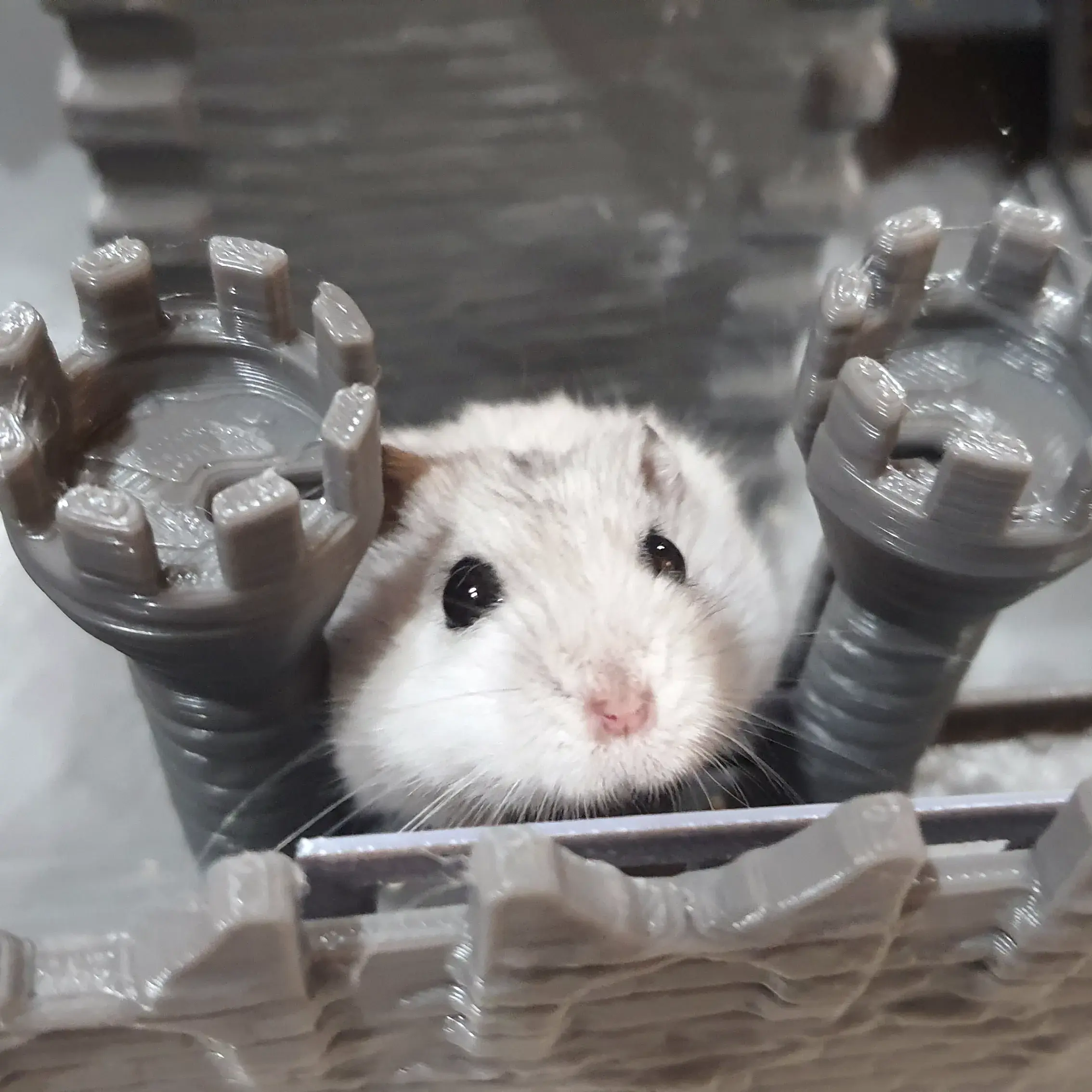 Hamster castle