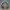 Aquarium Decor Hollow World 3D design