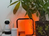 Amber Haven Lamp – A Warm Sanctuary in Light-3