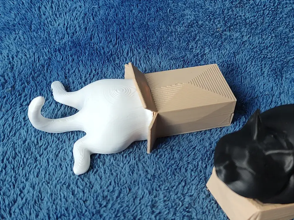 Cats in Boxes