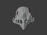 Bellbird Skull-6