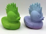 Punk Duck-0