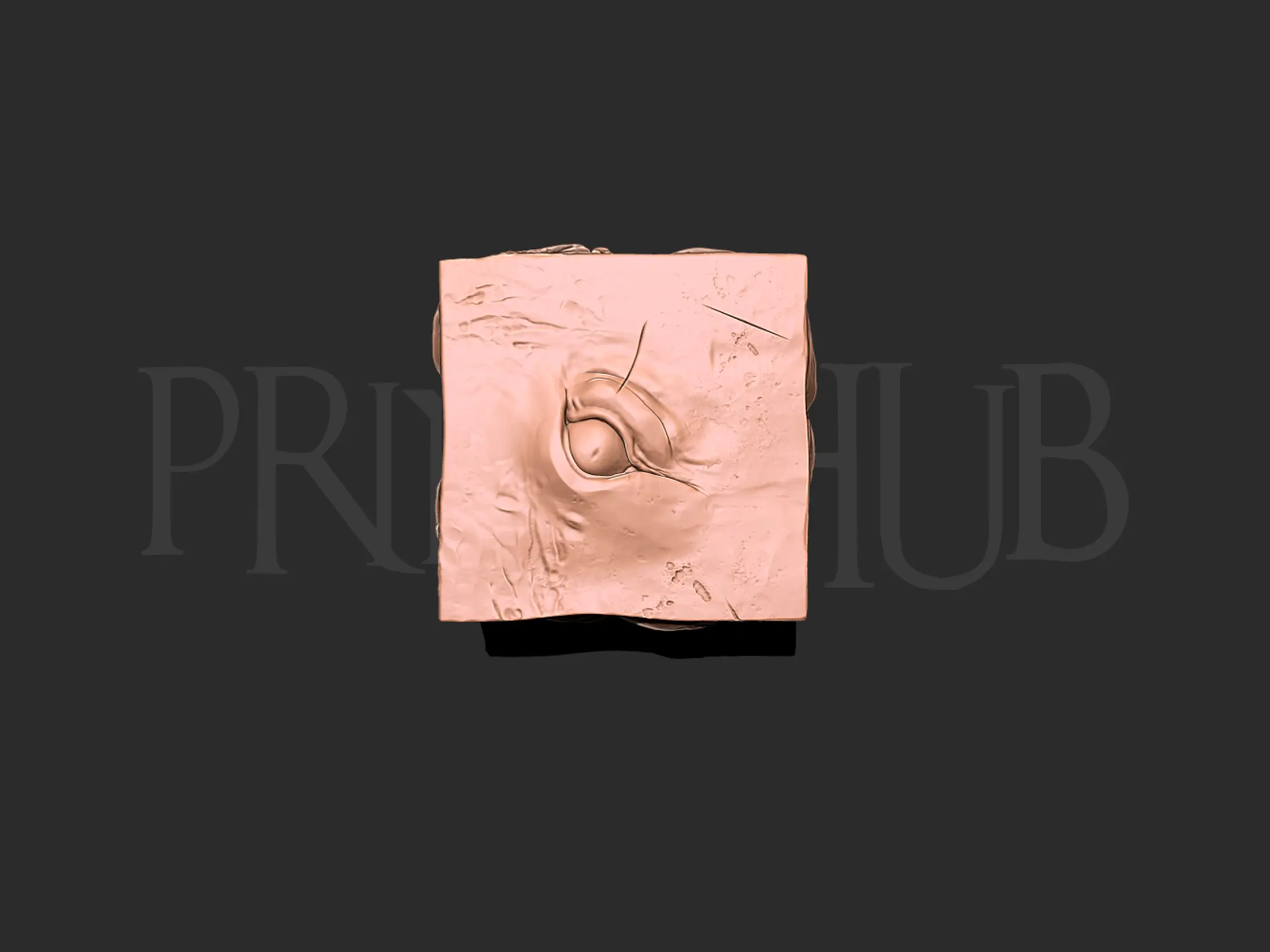 Tărâmul închisorii Cube Jujutsu Kaisen
